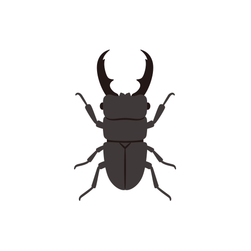 stag beetle